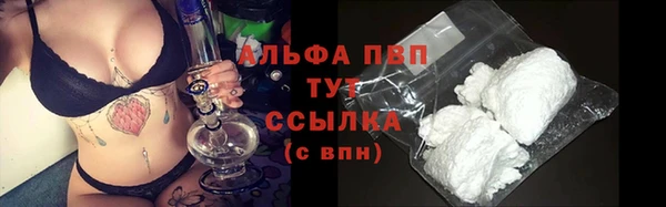 сатива Верхний Тагил