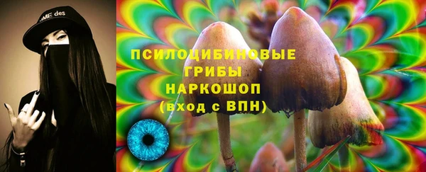 сатива Верхний Тагил